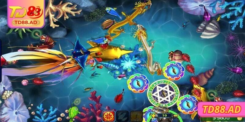 Cách chơi của bắn cá sao cho hợp lý nhất 