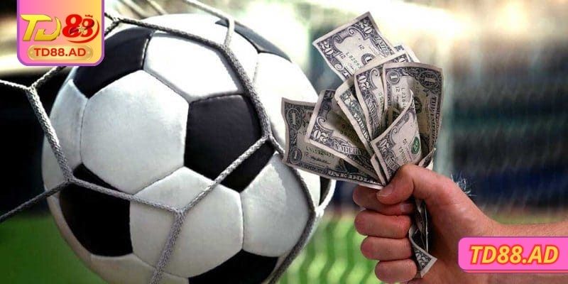 Kèo Châu Âu TD88 - Bí Quyết Thắng Cược Đơn Giản Nhanh Nhất 2 Cách tính nhuận dự kiến chi tiết nhất