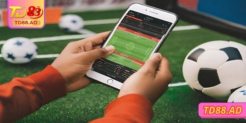 Tìm hiểu chi tiết một số điều về kèo nhà cái TD88