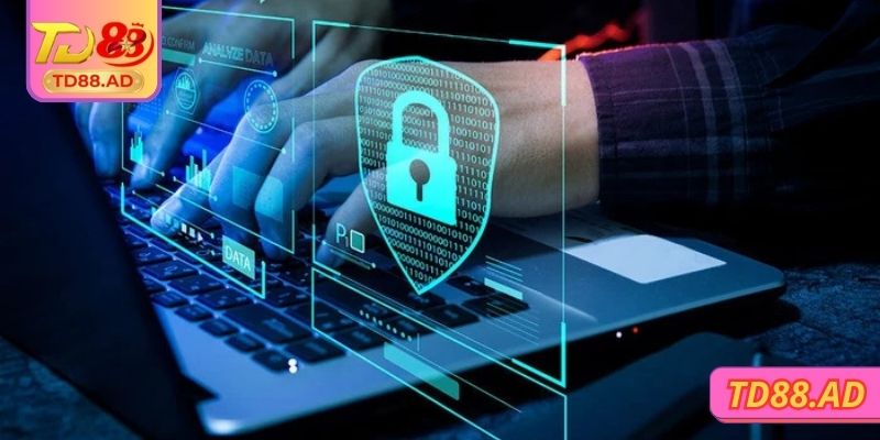 Hành động trái luật trong quá trình sử dụng dịch vụ