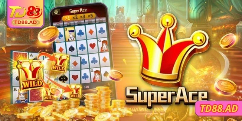 Lý do gì bạn chọn trải nghiệm tại đây?